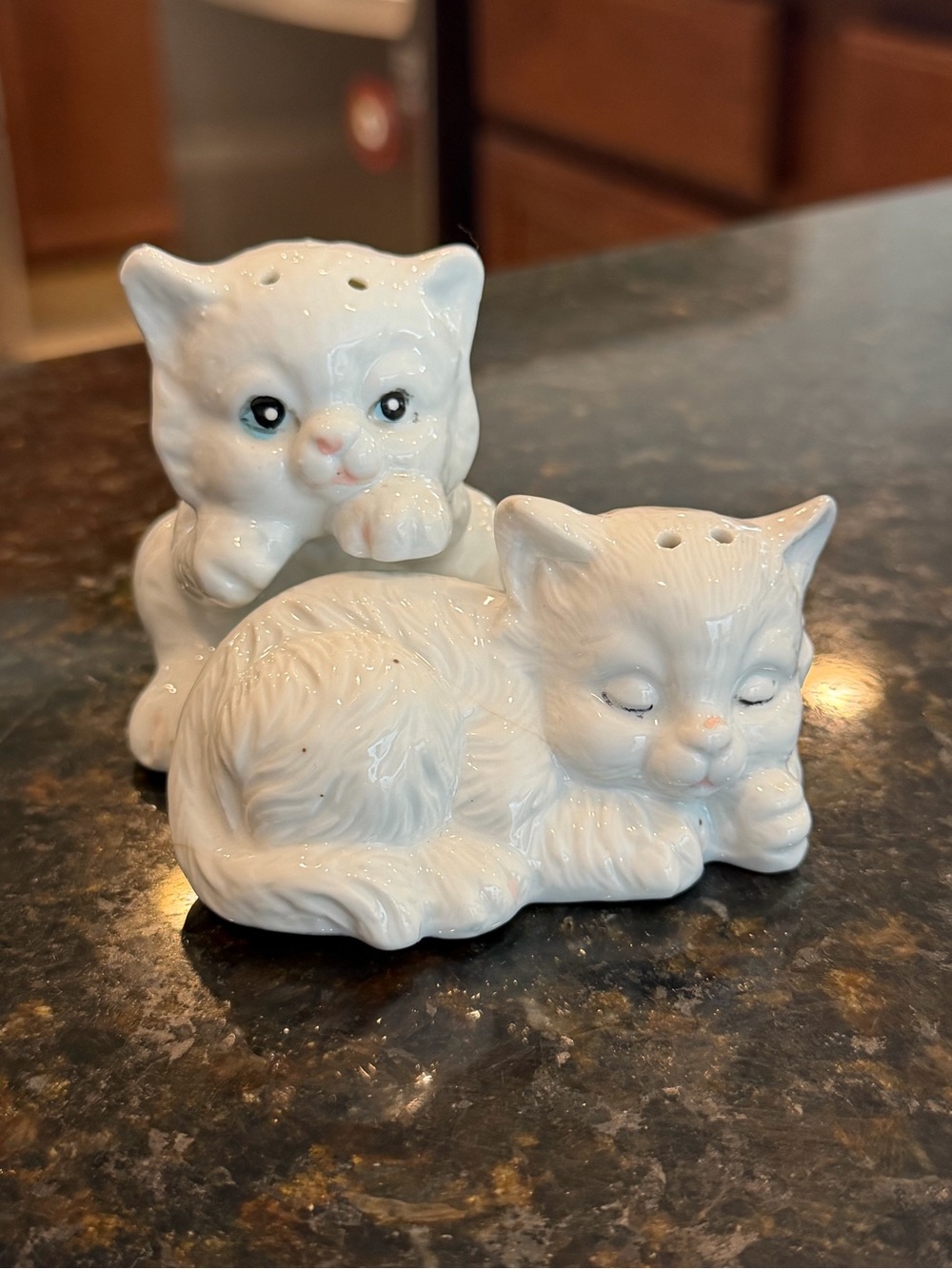 Vintage Cat Salt and Pepper Shaker Set